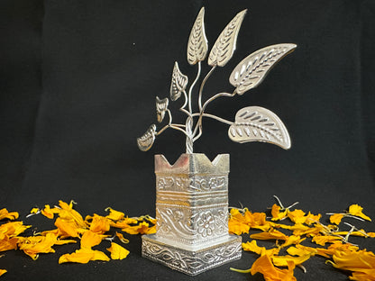can we keep silver tulsi plant inside the house German Silver Tulsi Plant Puja Gifts, Housewarming, Return Gifts – Desi Tohfa
